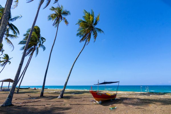 Voyage pays celtes : des expériences inoubliables vous attendent