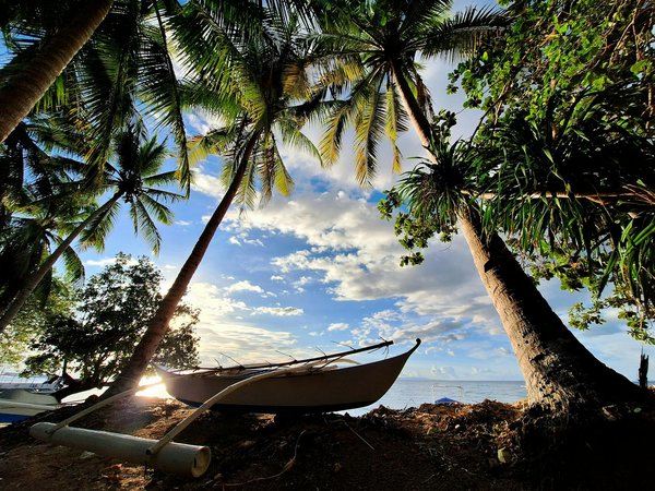 Émerveillez-vous avec des panoramas inoubliables : Une expérience phare fascinante !